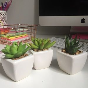 3 fake succulents